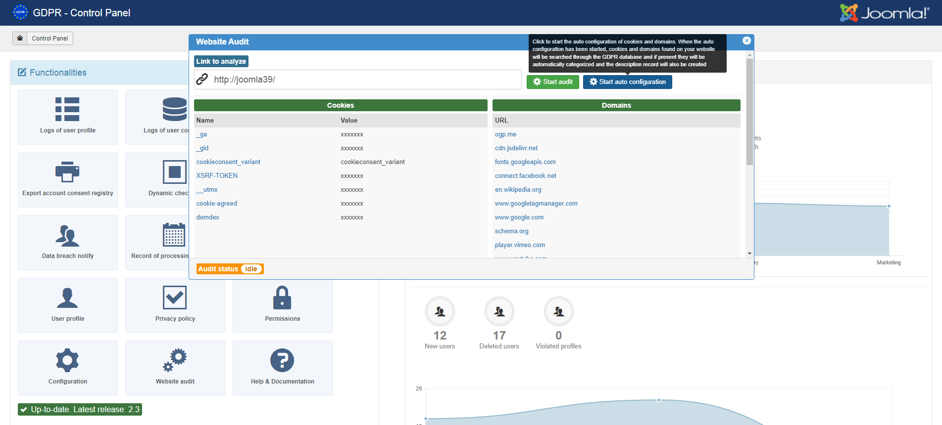 Website Audit