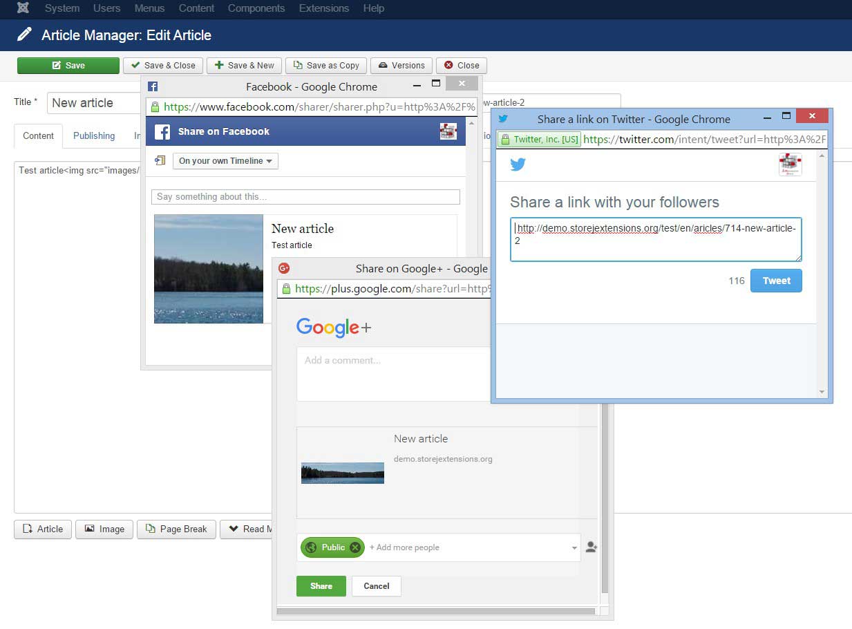 Social share auto posting